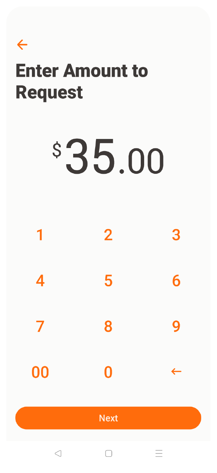 Step 3: Enter the amount